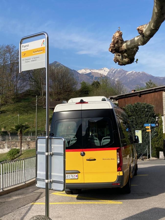 Apartmán Casa Petra 1 1/2 Zi, Orgnana 83 Gambarogno Exteriér fotografie