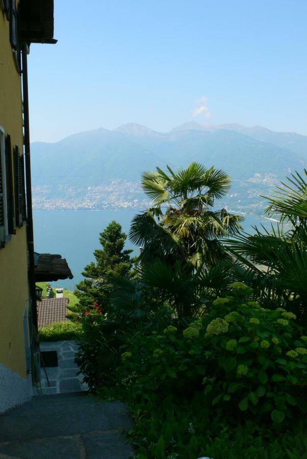 Apartmán Casa Petra 1 1/2 Zi, Orgnana 83 Gambarogno Exteriér fotografie