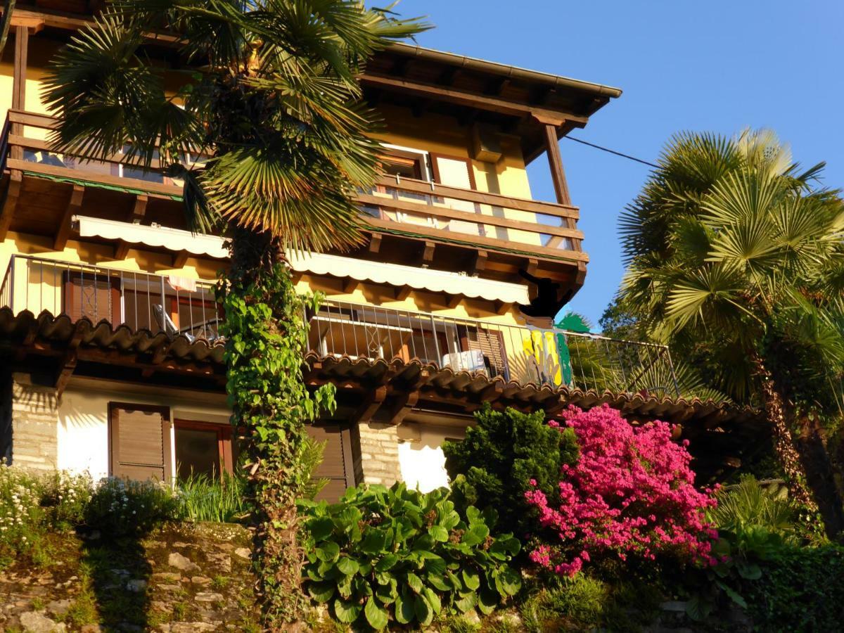 Apartmán Casa Petra 1 1/2 Zi, Orgnana 83 Gambarogno Exteriér fotografie