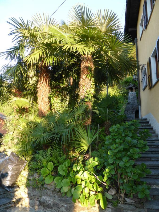 Apartmán Casa Petra 1 1/2 Zi, Orgnana 83 Gambarogno Exteriér fotografie