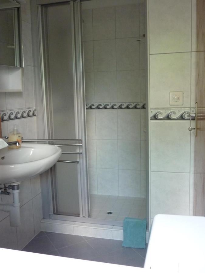 Apartmán Casa Petra 1 1/2 Zi, Orgnana 83 Gambarogno Exteriér fotografie
