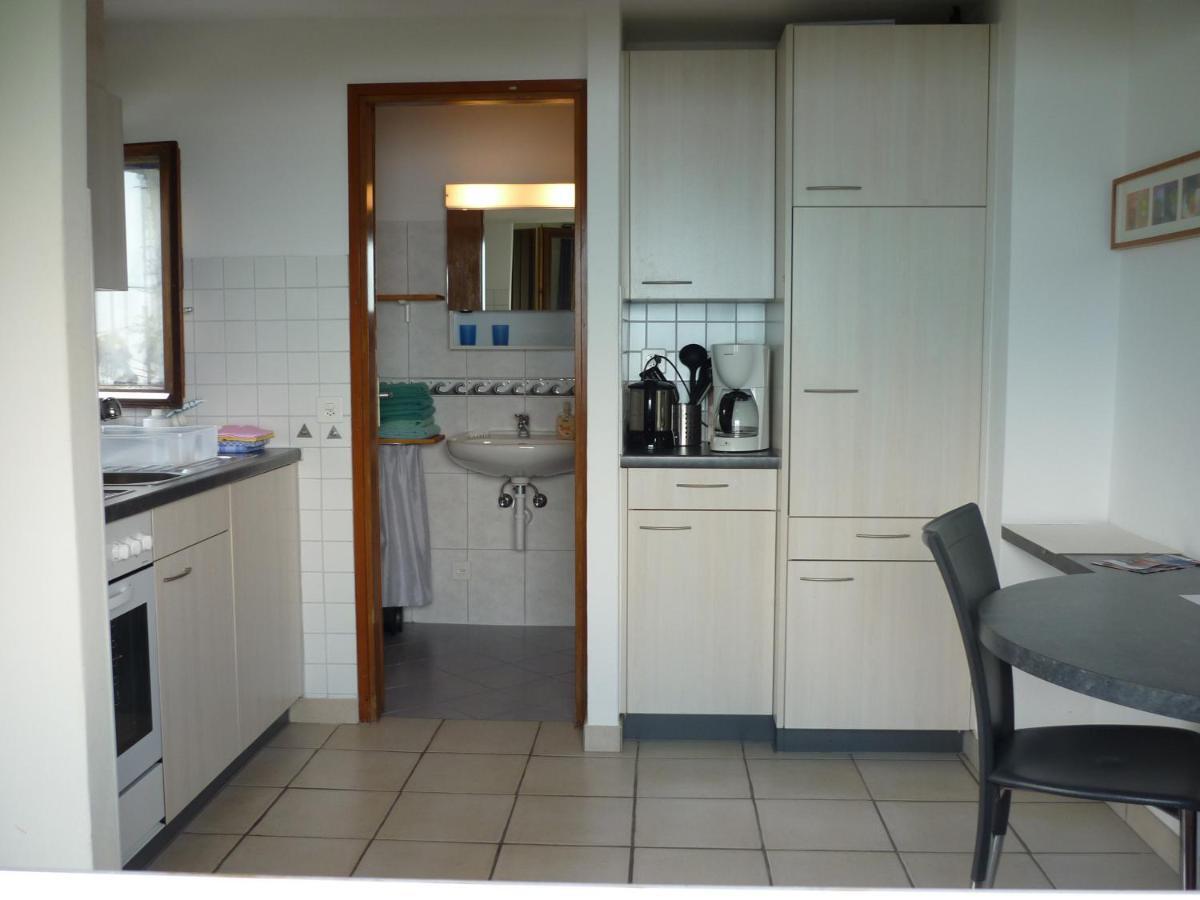 Apartmán Casa Petra 1 1/2 Zi, Orgnana 83 Gambarogno Exteriér fotografie