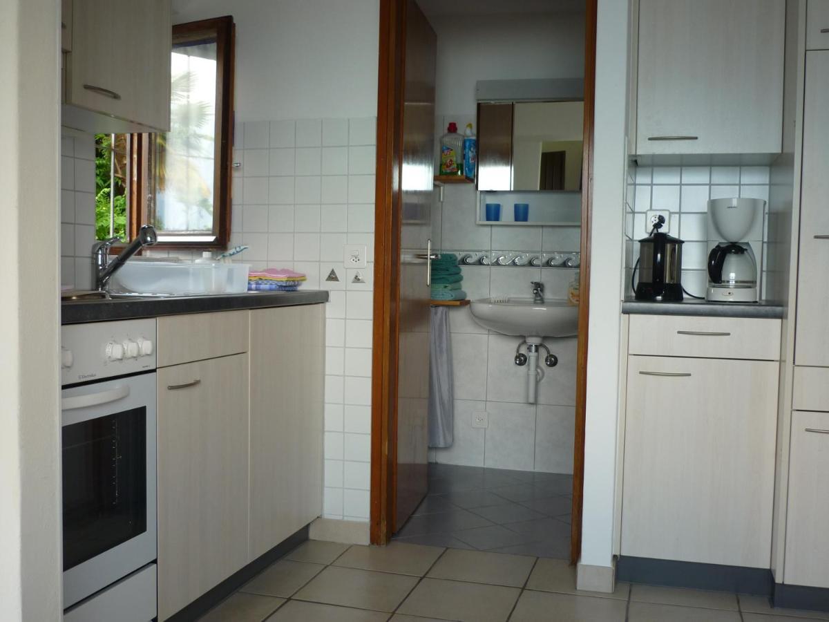 Apartmán Casa Petra 1 1/2 Zi, Orgnana 83 Gambarogno Exteriér fotografie