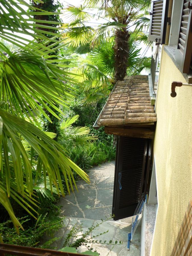 Apartmán Casa Petra 1 1/2 Zi, Orgnana 83 Gambarogno Exteriér fotografie